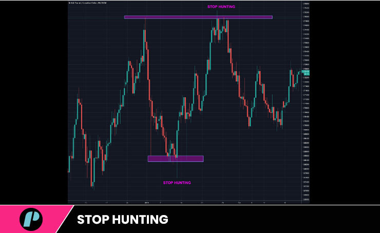 stop hunting