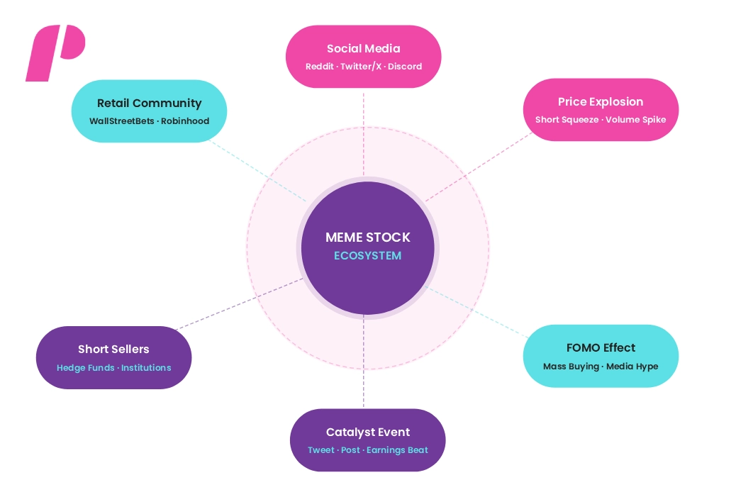 Meme Stock Ecosystem